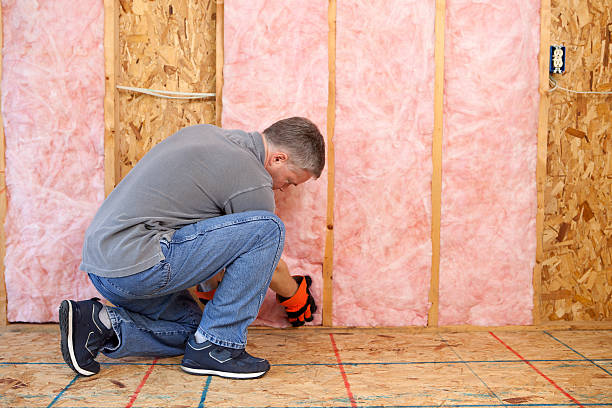 Best DIY Insulation Kits and Guidance in Weeping Water, NE